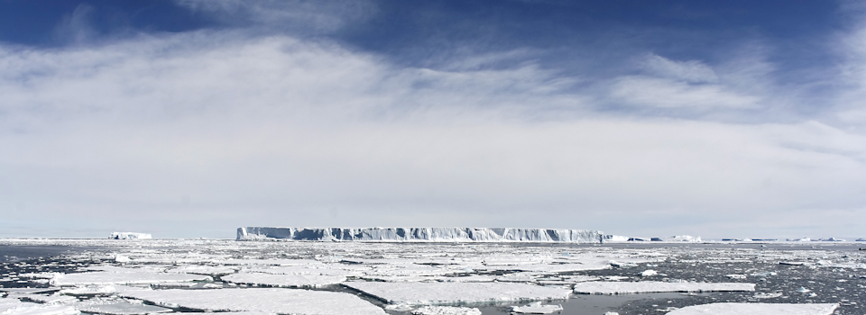 Iceberg